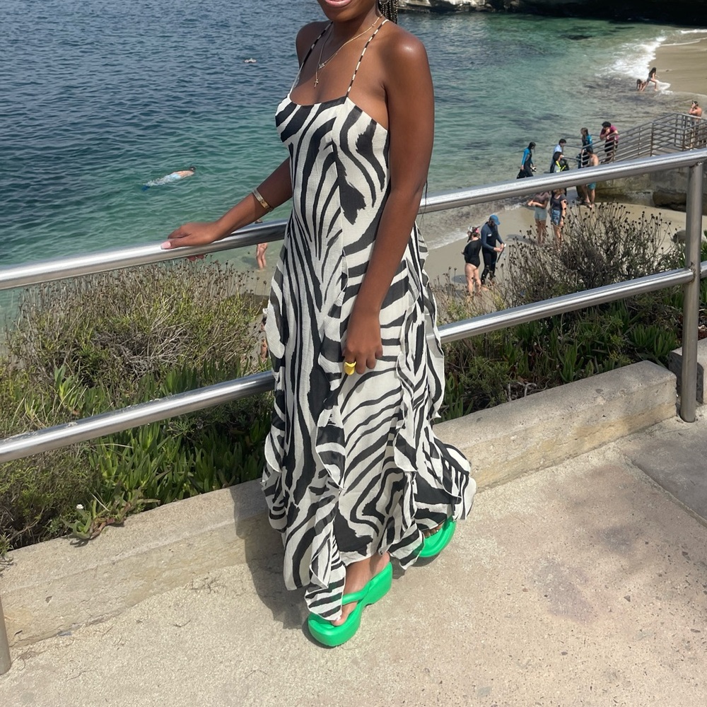 H&M Zebra Print Maxi Dress